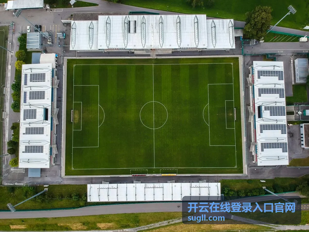 开云在线登录入口官网专属内容板块示意