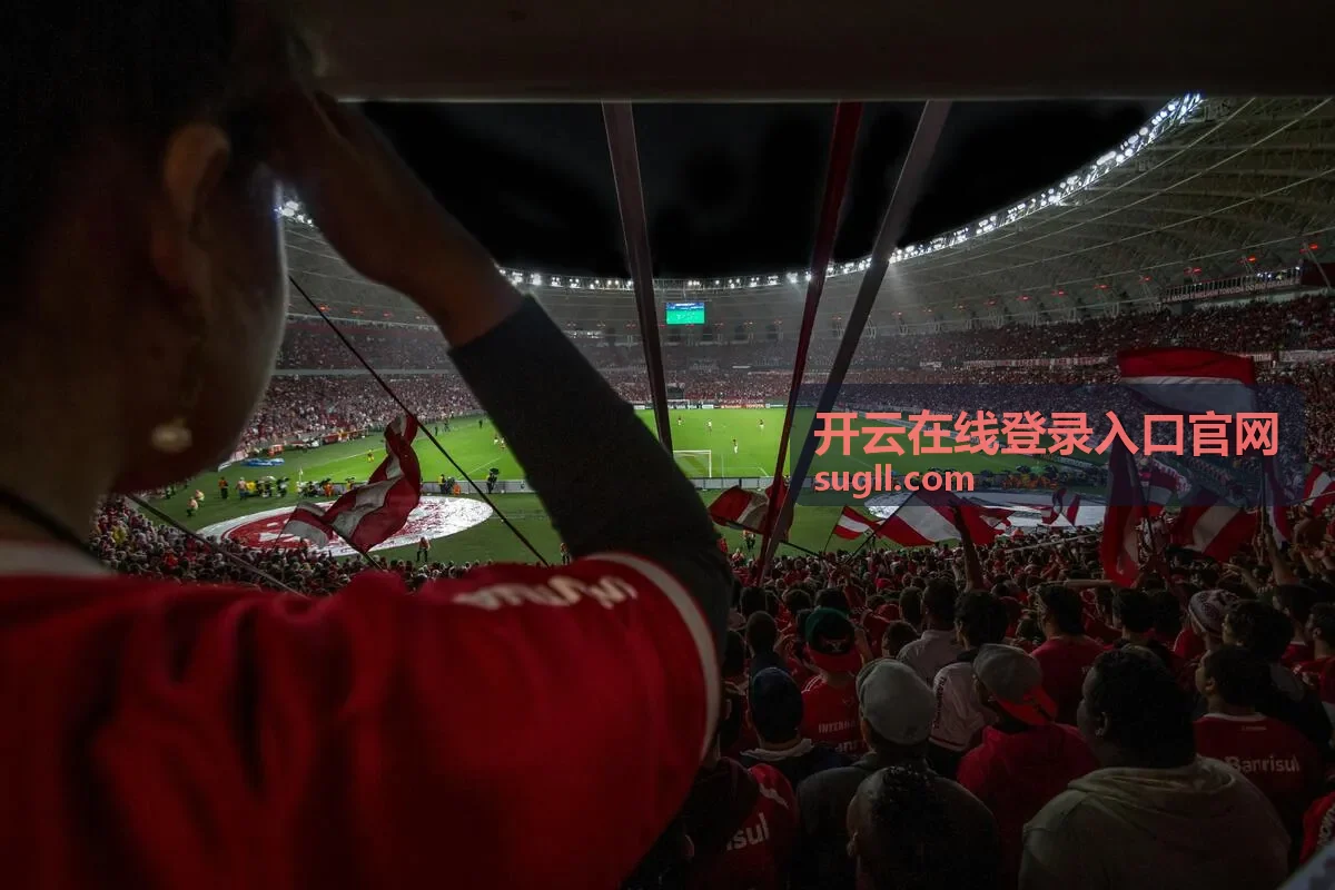 开云在线登录入口账号验证通道预览