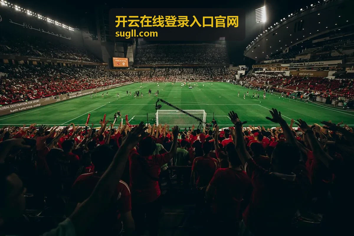 开云在线登录入口官网会员权益生效时间查询